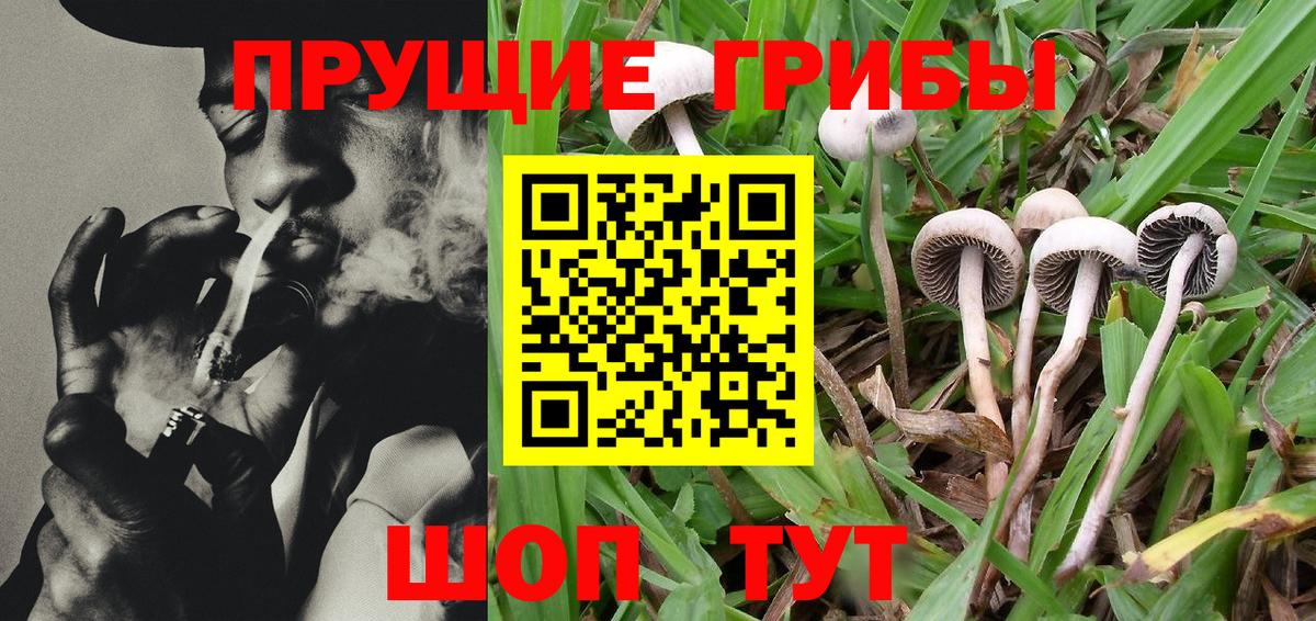 Нарткала  Галлюциногенные грибы MAGIC MUSHROOMS  Вход с VPN  Псилоцибиновые грибы MAGIC MUSHROOMS 