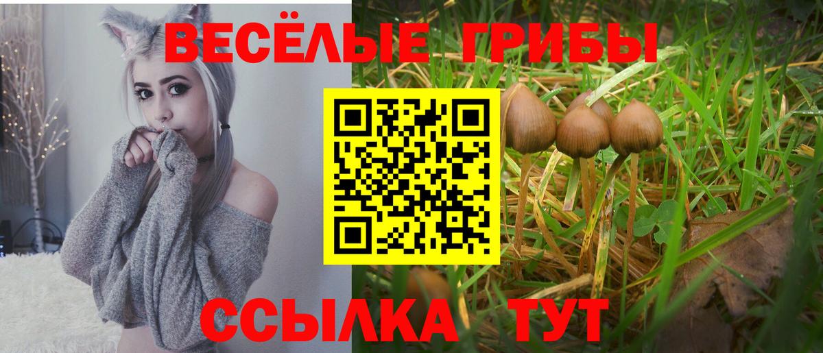 Нарткала  ГАШИШ  ГАШ  Каннабис  Codein  МЕФ   КОКАИН  Вход с VPN  Метадон 